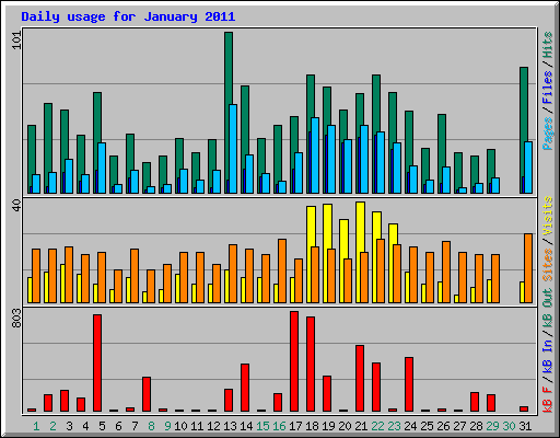 Daily usage for January 2011