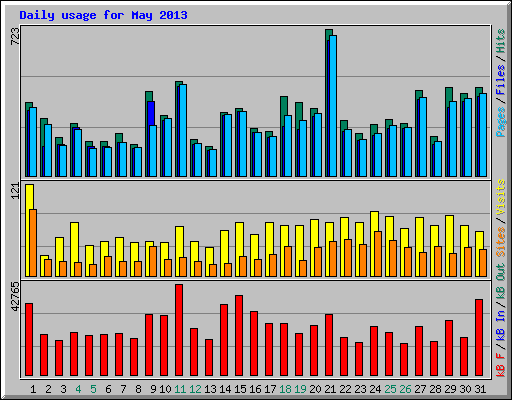 Daily usage for May 2013