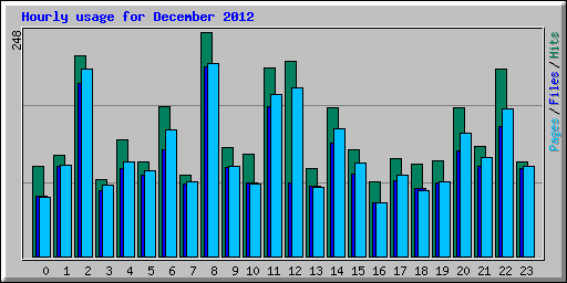 Hourly usage for December 2012