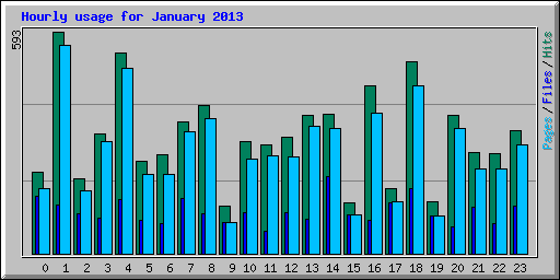 Hourly usage for January 2013