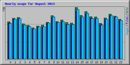 Hourly usage for August 2013